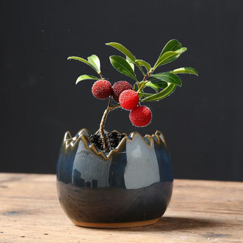Bonsai Garden Art - 킬른 변형 유약 담글 달걀 껍질