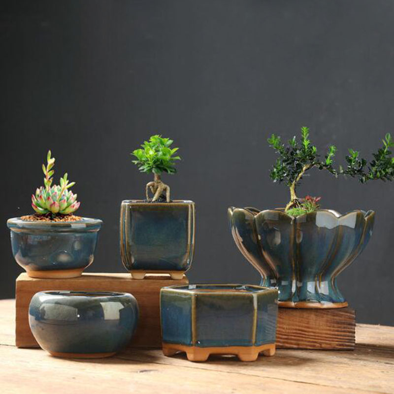 킬른 변형 유약 담글 달걀 껍질 화분 창의적인 다육 식 - Bonsai Garden Art 리뷰 및 가격
